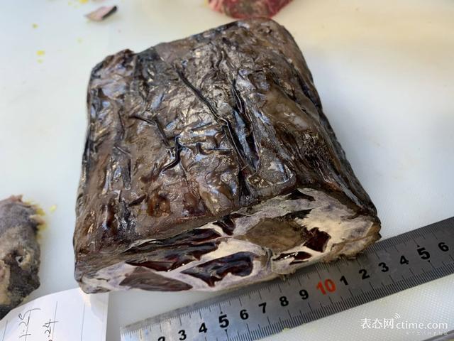 安康干式洗砂机哪家好