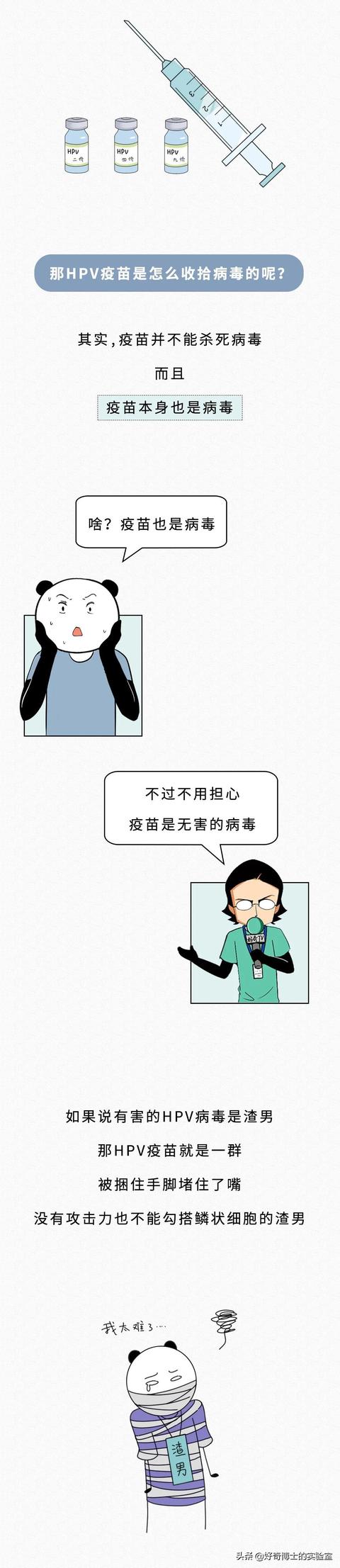 女生说科科是什么意思