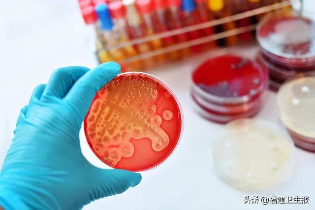 儿童身上像鸡皮疙瘩