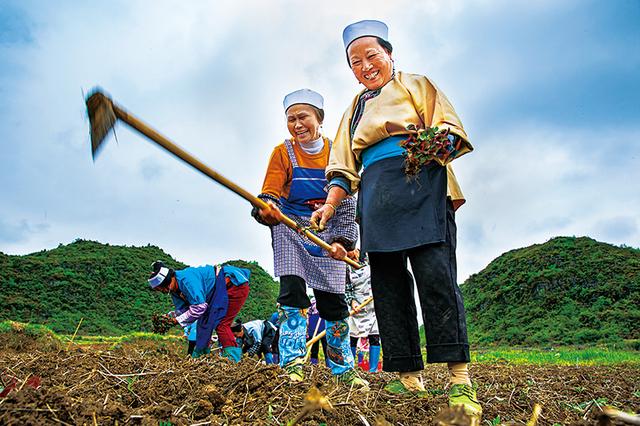 安顺重锤式破碎制砂机规格