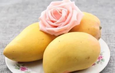 这个秋天你的胃吃对水果了吗？