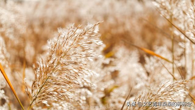 张掖过滤机