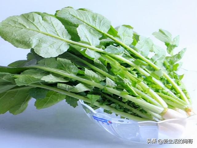 秋天养生，吃秋菜，尝秋果，饮秋汤，喝秋茶，秋冬少生病，身体好