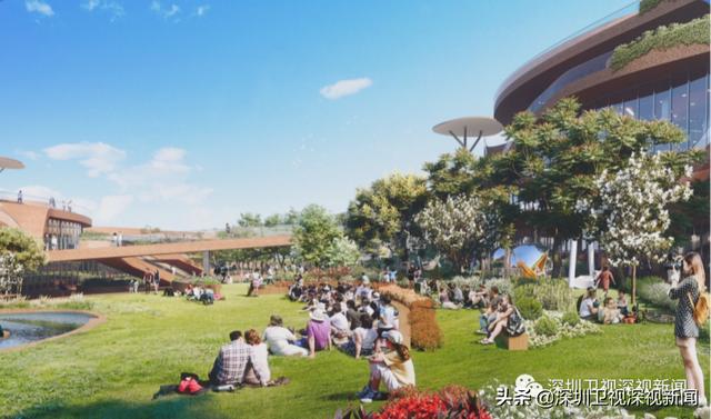 涉及噪音扰民、灾害气候应对，今起实施的这个条例事关你我