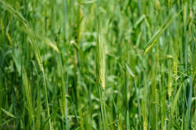 睡不好觉？可能是“夜间营养”摄入不足