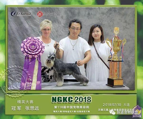 沈阳宠物美容学校