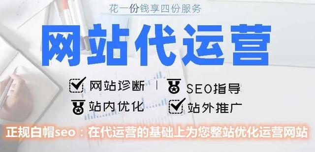 网站seo优化整站代运营托管维护 关键词排名 文章内容更新百度360