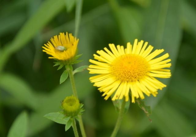 胃食管反流病友对号入座，你到底属于哪种反流？