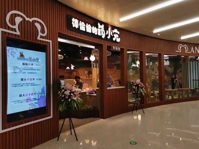 郑州宠物店 郑州宠物店（郑州宠物店收猫） 动物