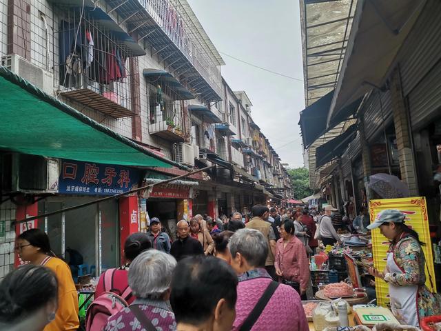 demo 重庆宠物市场（重庆宠物市场调研报告） 动物