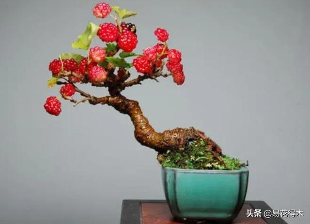 亳州干式洗砂机哪家好