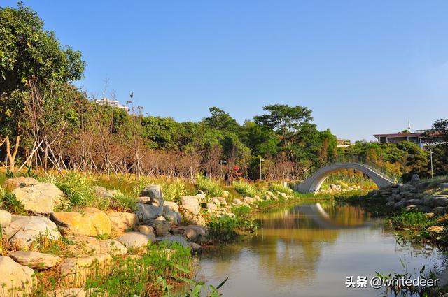 步行绿道 - 深圳龙岗 大运绿道