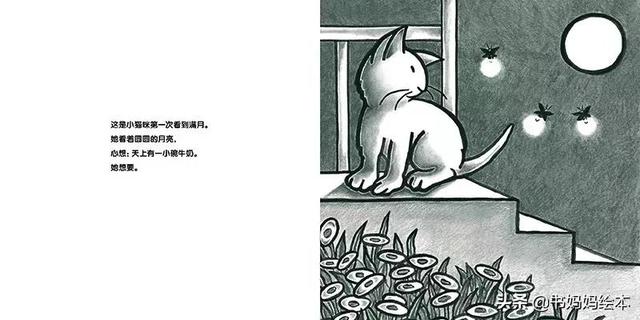 猫咪主题绘本推荐｜和孩子一同打开喵星人的世界