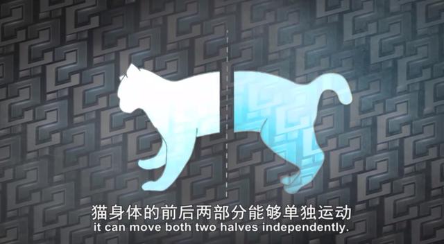 金属破碎机每日开机前必做检查比例失重调整