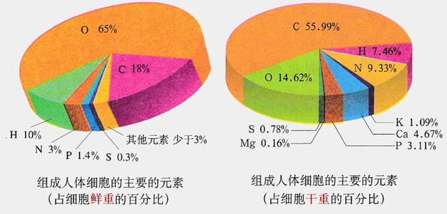 双缩脲试剂检测蛋白质原理