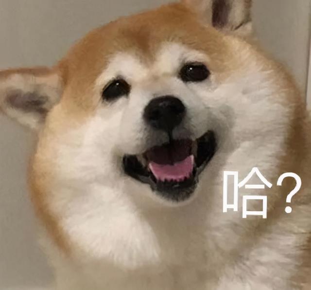 这类让你都雅的黑科技,还不放置上?