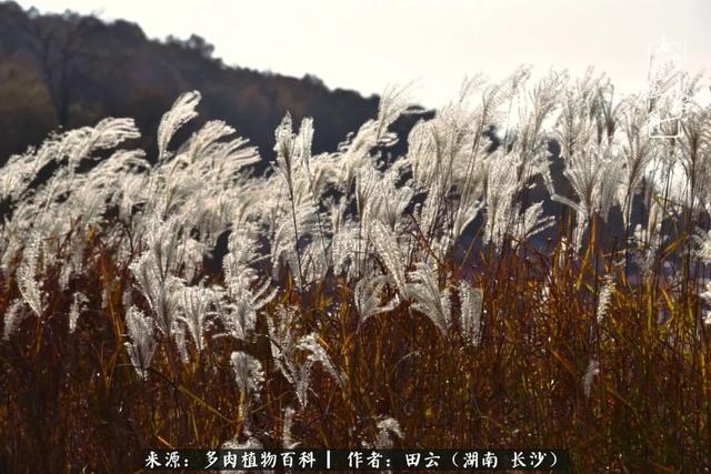 影片剧照