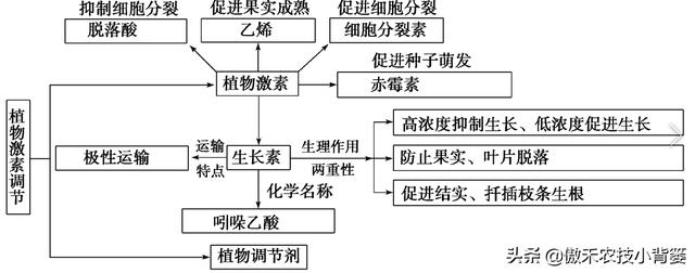 植物生长调节剂种类多、差异大，农民要学会挑选和使用的正确方法