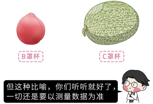 文胸罩杯计算方法（女性如何测量自己是什么罩杯）