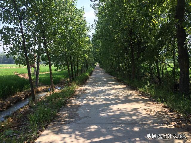 环动制砂机视频