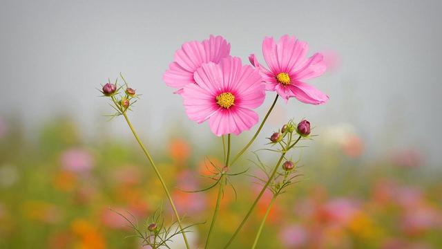 人生，只有不断地突破，没有永恒的冠军