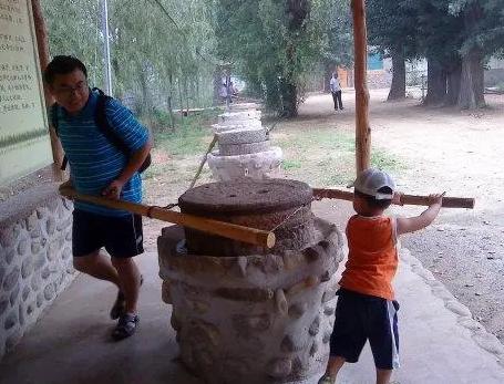 五谷虫的别名  五谷虫