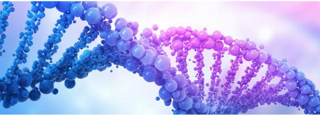 洞见创投——毅达资本，稳居国内创投第一阵营，助推216家企业IPO