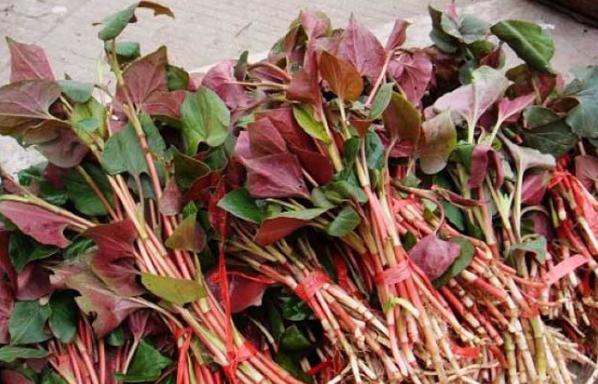 鸡皮肤洗澡用什么