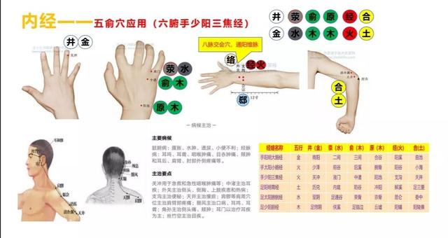 五输穴的位置及应用