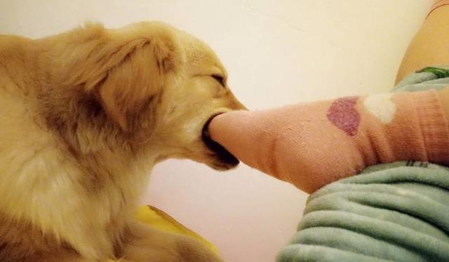 闻女生的臭袜子闻男孩子袜子臭不臭