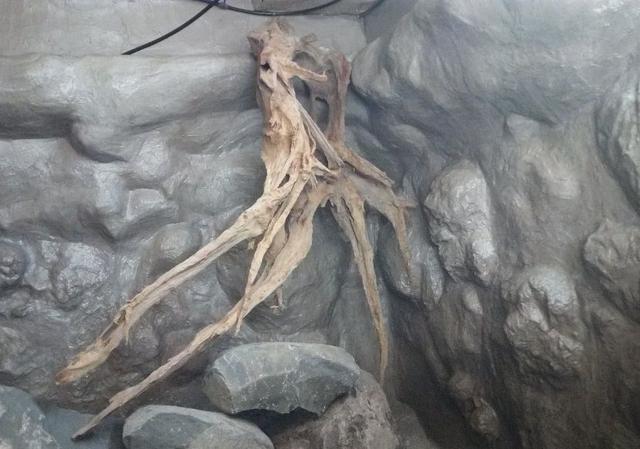 马鞍山鼓式过滤机定制公司