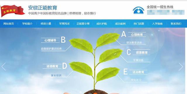 戒网基地学校(哪里有戒网瘾学校)(图2)