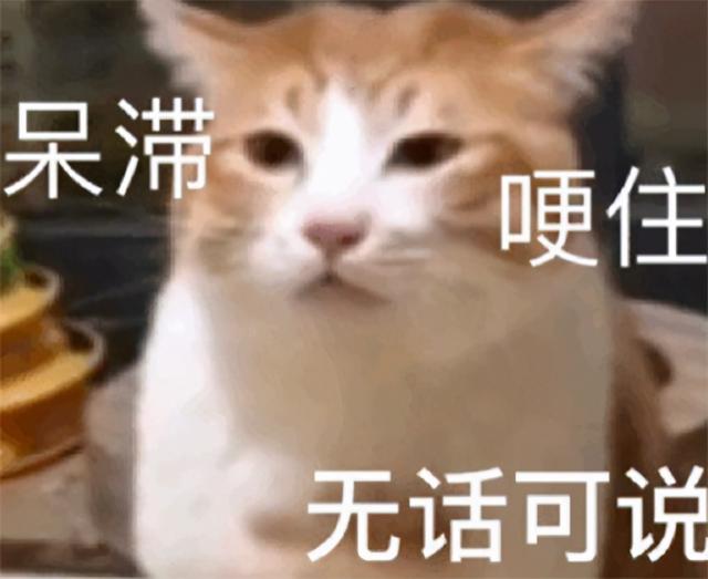 中国玩家有多牛 一个操作影响整个游戏界 还赢了老外一辆法拉利 今日热点