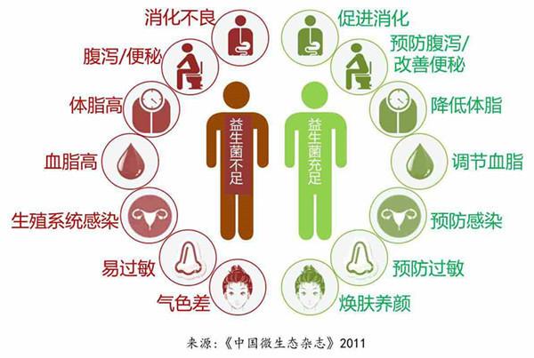 肠道被称为“第二大脑”!6个简单方法,增加肠道益生菌
