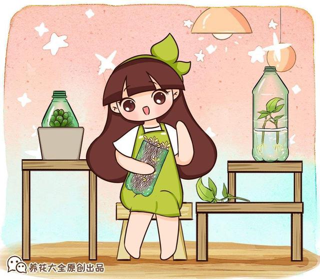 宁夏珍珠岩制砂机价格的简单介绍
