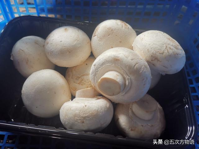 菜市场菌类大汇总3