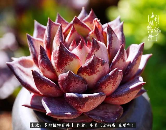安康石英砂洗砂机厂家电话