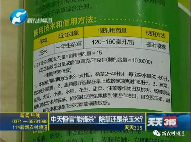 蹊跷？四百亩玉米出现药害、减产！！！除草还是除玉米？你家用过没？8