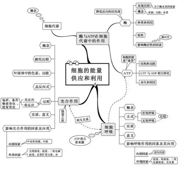 超级全能生2020高考浙江省4月联考各科试题及答案汇编