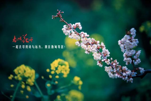 个旧大型制砂机厂家的简单介绍