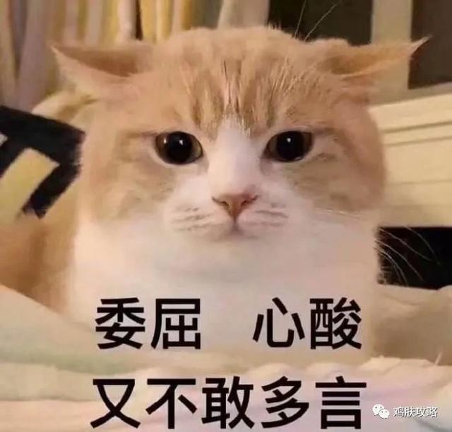 中药调理毛周角化症