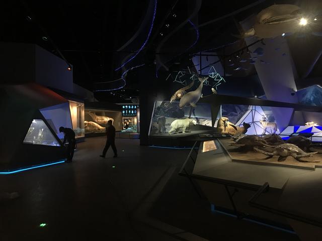 展陈工程施工进度计划