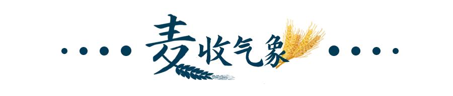包含阜阳轮式洗砂机排行的词条