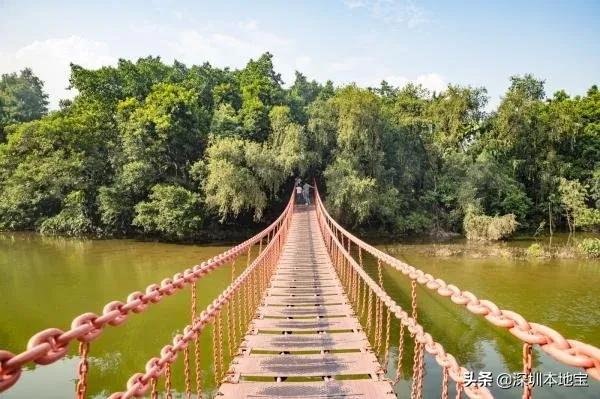 深圳哪些景区已开门？要不要预约？赶紧看，别白跑一趟了