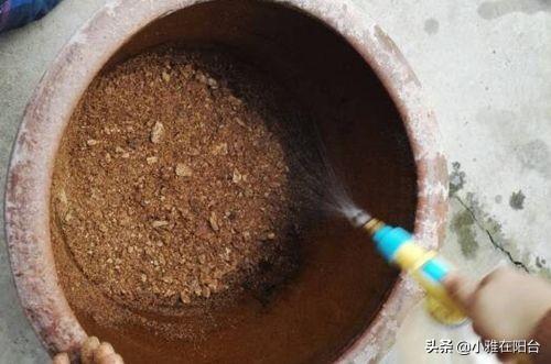 油饼米为什么要加黄豆原理 做豆饼用什么米