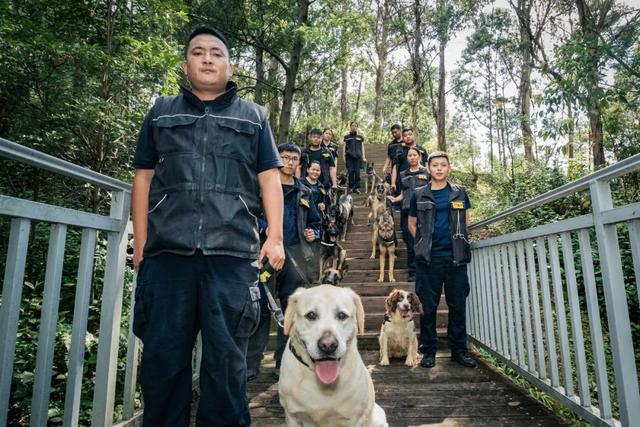 德国防暴犬 德国防暴犬（德国防爆制动器） 动物