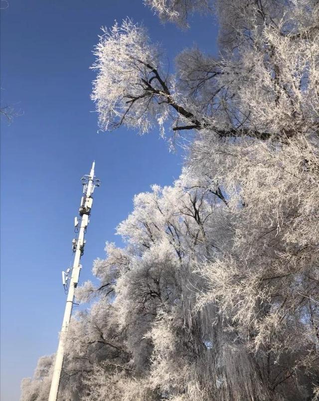 吉林医药学院