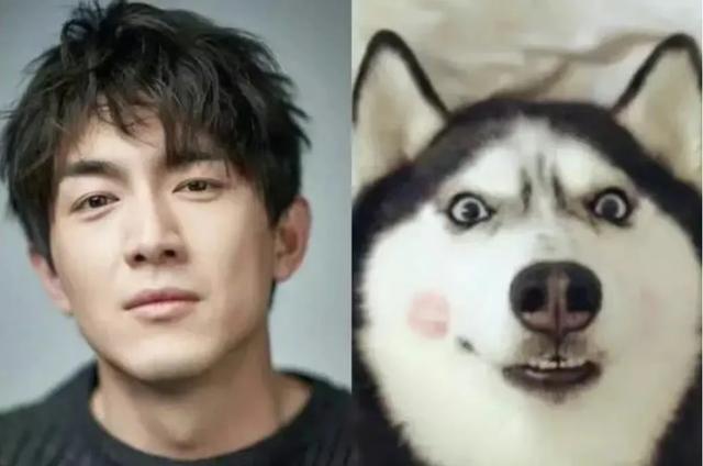 王丽坤和林更新（王丽坤和林更新的关系）