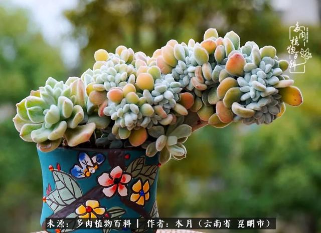 安康石英砂洗砂机厂家电话