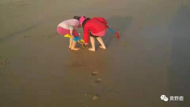 不上幼儿园的优优鹿鸣，在兴趣中接受教育——老作家谈育儿